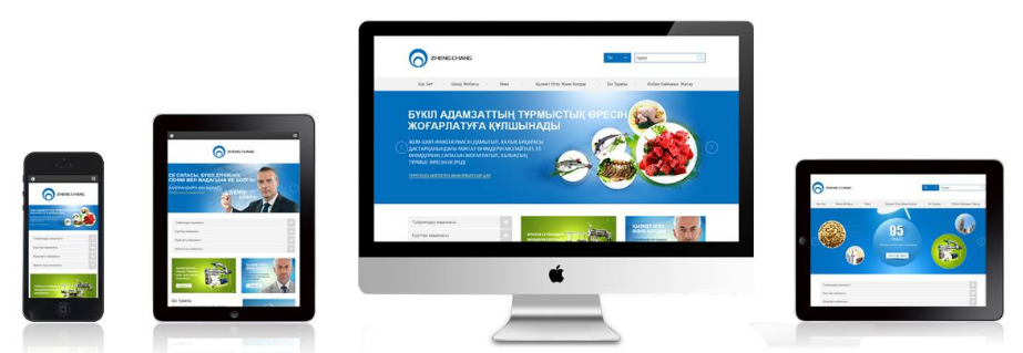 上海網站開發(fā)